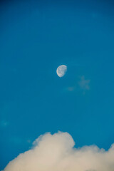Naklejka na ściany i meble moon in a cloudy sky in the morning