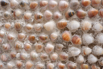 Simple outside wall surface made of different colourful sea shells as material.