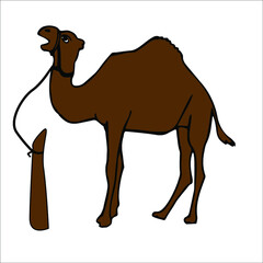 illustration of a brown camel being tied up