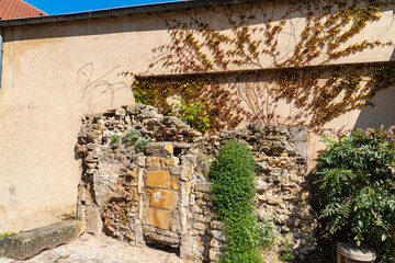 Fototapeta na wymiar Part of the wall with green and dry vines of IV century pre-medieval Saint Pierre aux Nonnains Basilica in Metz, France