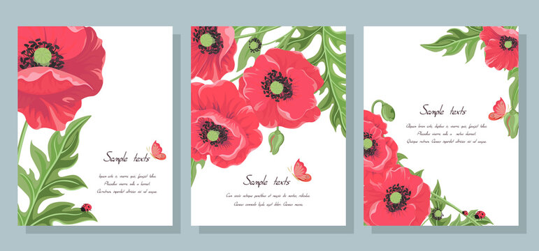 Red vector poppy flowers. Set of postcards with wild flowers: poppy leaves, buds, ladybug and butterfly. Collection of templates for wedding invitation cards banners sales brochure cover design.Vector