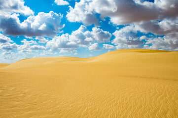 Fototapeta na wymiar It's Beautiful sand dunes in the Sahara Desert, Egypt