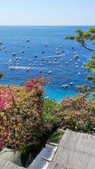 flowers on the beach