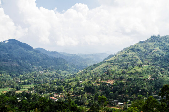 Sri Lankan mountain view
