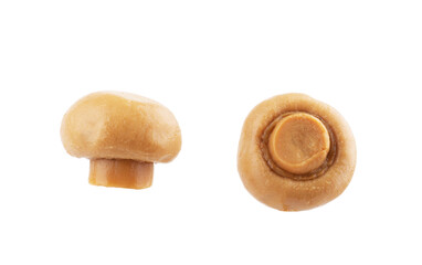 Fresh champignon mushrooms isolated on white.