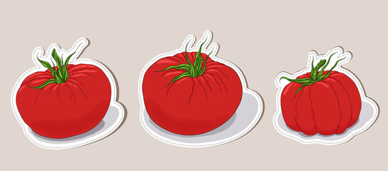 Tomato stickers collection. Ripe red tomato label. Hand drawn colorful badges.   Closeup.
