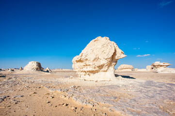 Fototapeta na wymiar It's Mushroom rock formations at the Western White Desert of Egypt