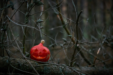 Halloween pumpkin in a dark pine forest