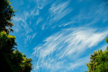 natural background, blue sky with white unusual clouds