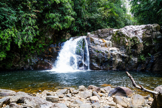 Sinharaja Rainforest Waterfall