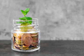 Money Growth And Invest Savings Financial Business Investment And Personal Budget Growing Concept