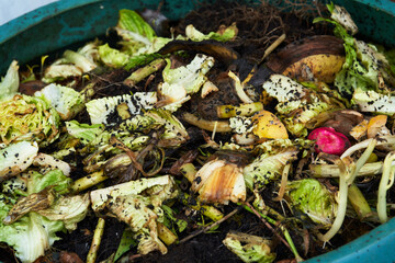 Compost bin full up with decomposing matter