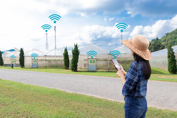 Women farmers use mobile phones to control the installation of atmosphere, humidity, water level...