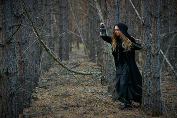 Naklejka premium witch girl with a lantern in a dark pine forest