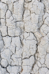 cracked earth texture