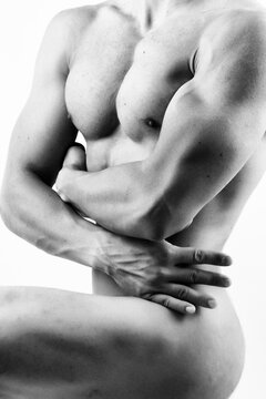 Torso y abdominales