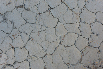 Obraz premium dry cracked earth