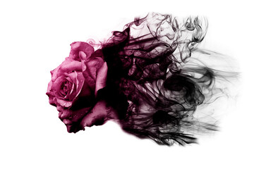 Smoke rose from