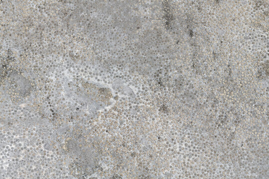 Concrete Slab Countertop Color Texture Close-Up Macro Background Structure - Wallpaper