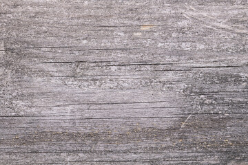 Wooden Panel Color Texture Close-Up Macro Background Structure - Wallpaper