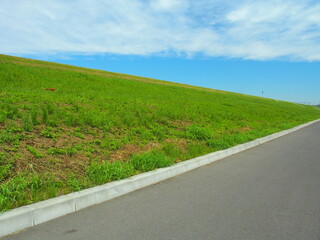 新しい道と初夏の江戸川土手風景