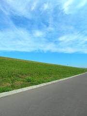 新しい道と初夏の江戸川土手風景