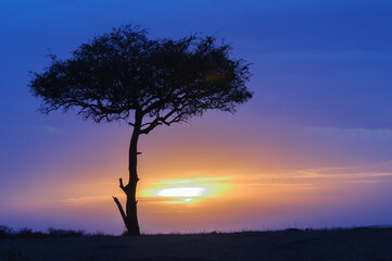 Fototapeta na wymiar It's Sunset in Kenya