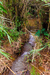 It's Little river creek