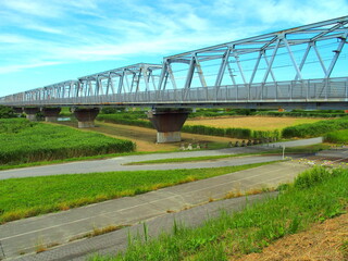 Fototapeta premium 江戸川土手から見る武蔵野線鉄橋の架かる初夏の朝の河川敷風景