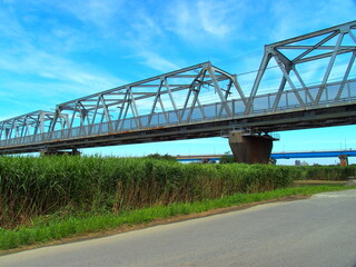 Fototapeta na wymiar 初夏の江戸川に架かる武蔵野線鉄橋と流山橋風景