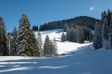Paysage d'hiver, val Morgins