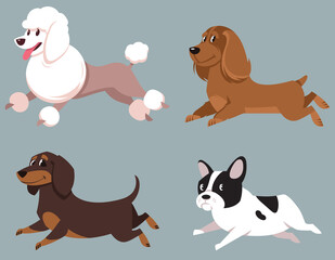 Set of running dogs. Poodle, Cocker Spaniel, Dachshund and French Bulldog in cartoon style.