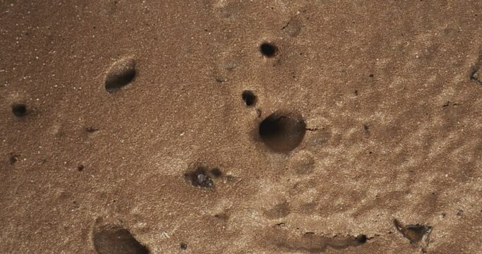 top view ice cream 