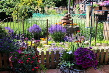 Obraz premium garden, blume, blume, haus, pflanze, sommer, green, natur, patio, pflanze, schön, strasse, landschaft, gartenarbeit, tür, zuhause, frühling, bunt, wand, weiß, baum, holzzaun, topf, floral