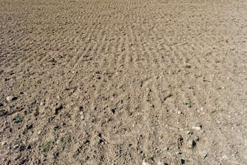 Plowed agricultural field in a countryside