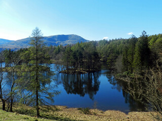 landscape view of Tarn Hows in the Lake District, Cumbria