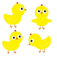 Chicken chick bird set. Face head. Cute cartoon funny kawaii baby character. Happy Easter. Friends forever. Greeting card. Flat design. Isolated. White background.