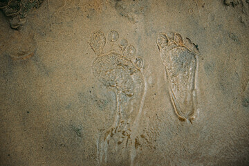 children's and adult human footprints on the wet sand at the beach