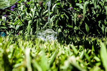 green grass background