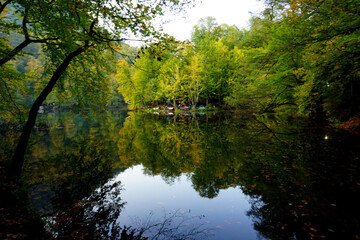 Spring scene from Yedigoller, Bolu/Turkey.