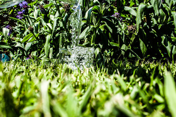 green grass background