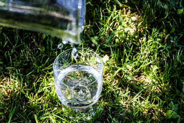 water drops on the grass