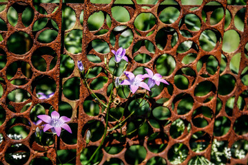 abstract colorful background