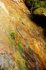 Nature of Madagascar