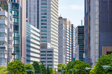 Obraz na płótnie Canvas 新緑が綺麗な東京の高層ビル群