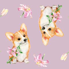 Seamless pattern with corgi and flowers