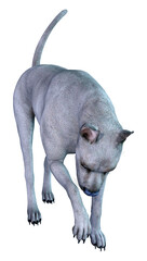 Fototapeta na wymiar 3D Rendering Blue Grat Dane Dog on White