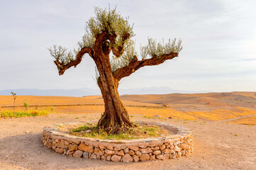 It's Desert Terre des Etoiles, Morocco