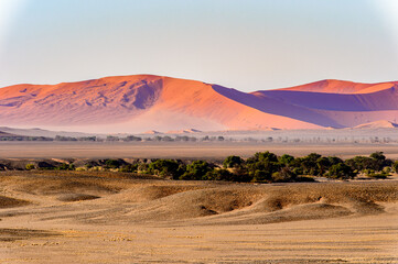 Fototapeta na wymiar It's Beautiful landscape of the Namibia desert, Sossuvlei, Africa.