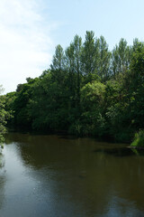 River in the woods.
